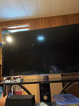 Mini And The Bear online show from 03.29.26