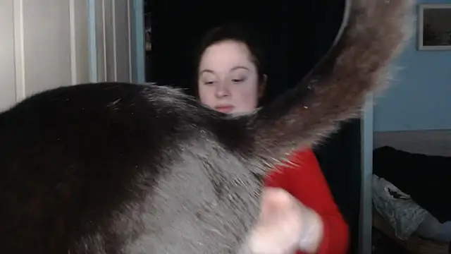 Snapshot of ryhhnnagold99 chatting on 02.08.26 ryhhnnagold99 online show from 02.08.26