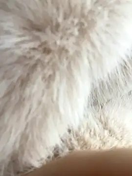 Feral berry 8133 online show from 12.02.24