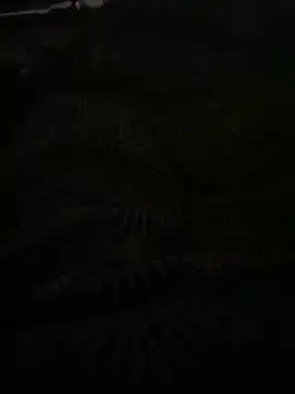 bomakrn online show from 11.03.25