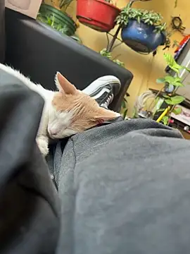 Lilmarieee online show from 02.24.25