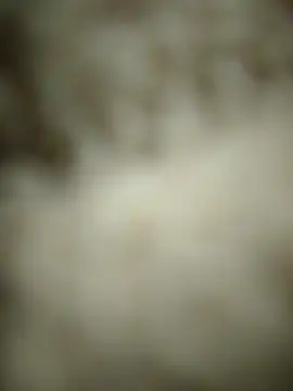 Snapshot of landy20cm chatting on 05.14.26 landy20cm online show from 05.14.26