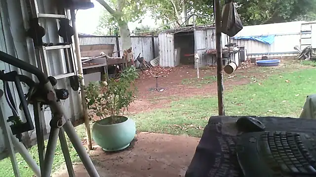 herbie010666 online show from 11.27.25