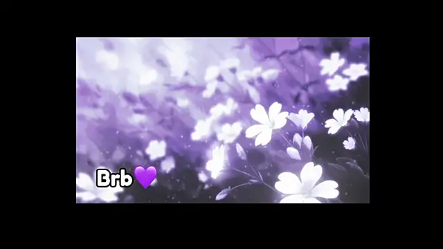 violeta milleer online show from 12.11.24