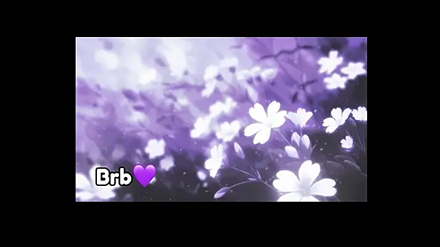 violeta milleer online show from 02.11.25