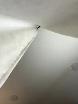 Snapshot of GeorginaJones chatting on 01.18.25 GeorginaJones online show from 01.18.25