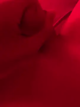 xsanchx online show from 03.21.25