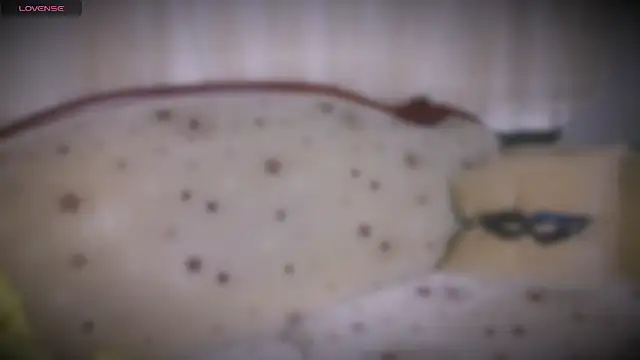 MERA arab online show from 01.19.25