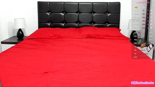 Snapshot of karinamadnessdesiree chatting on 01.11.25 karinamadnessdesiree online show from 01.11.25