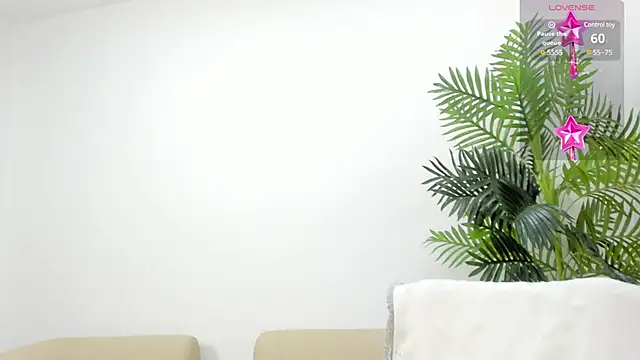 nohetanhai01   online show from 01.07.25