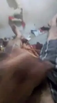 Shugar dick online show from 12.22.24