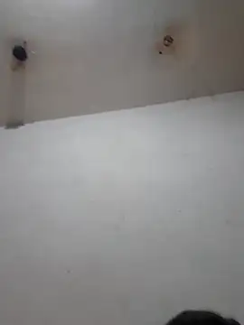 Calamaco07 online show from 02.25.26