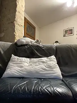 steph19x5 online show from 03.14.26