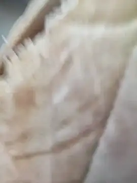 Comedordecu0289 online show from 09.20.25