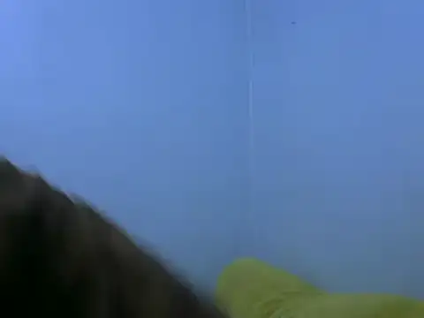 Forsia online show from 02.06.25