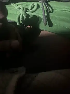 Snapshot of dingoding chatting on 01.11.25 dingoding online show from 01.11.25