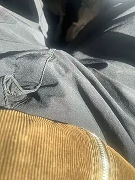 Snapshot of dingoding chatting on 02.10.25 dingoding online show from 02.10.25