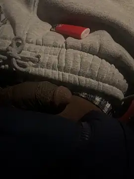 Snapshot of dingoding chatting on 02.22.25 dingoding online show from 02.22.25