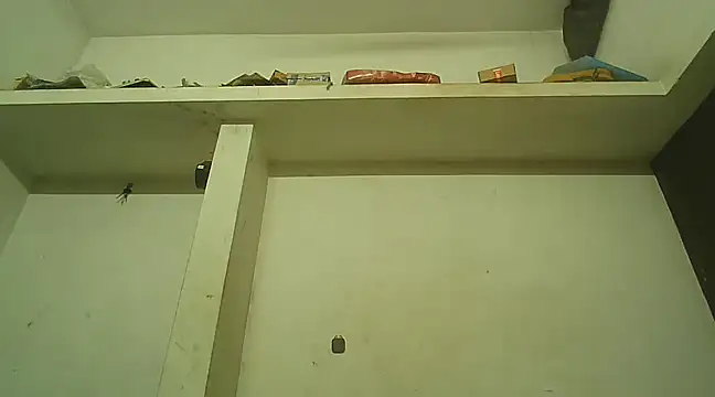 Snapshot of Akhilamolu_the_transsissy chatting on 02.08.25 Akhilamolu the transsissy online show from 02.08.25