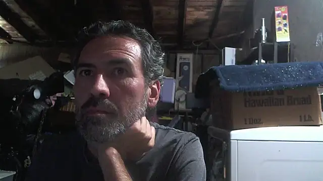 Anarchy Burger online show from 03.13.26