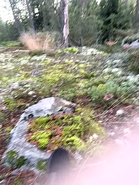 Snapshot of Andreashow chatting on 09.22.25 Andreashow online show from 09.22.25