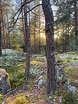 Snapshot of Andreashow chatting on 10.19.25 Andreashow online show from 10.19.25