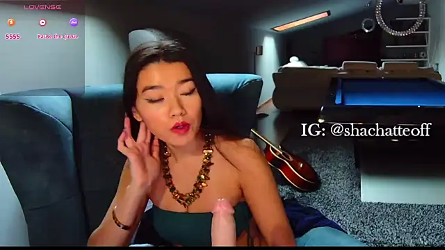 shachatteof online show from 11.26.25