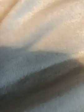 Snapshot of Hugetings chatting on 01.24.25 Hugetings online show from 01.24.25