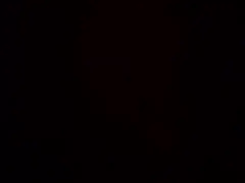 Cataleia21 online show from 02.20.26