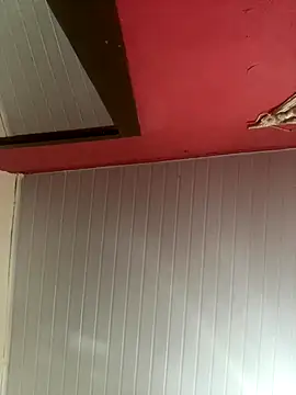 pimenta gaby online show from 11.30.25