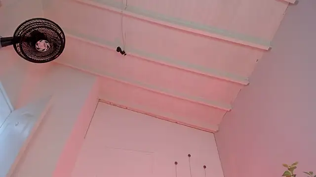 swt-booty online show from 11.19.25