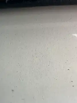 S2kicibey06 online show from 02.07.25