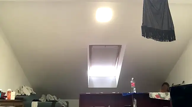 Snapshot of WildzMareNextLevel chatting on 01.04.25 WildzMareNextLevel online show from 01.04.25