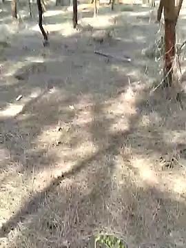 Gopal1243 online show from 02.20.25