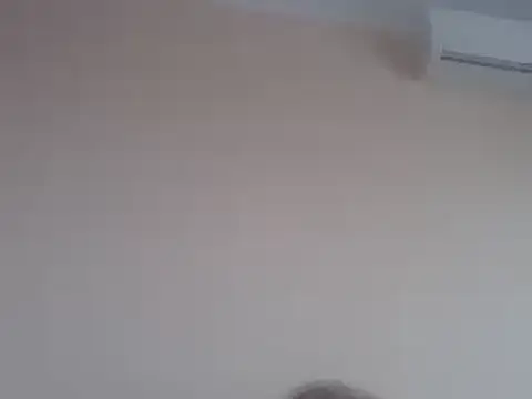 Snapshot of aavocadok chatting on 12.12.24 aavocadok online show from 12.12.24