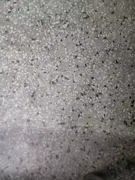 Snapshot of Rajibsorkar20 chatting on 01.16.25 Rajibsorkar20 online show from 01.16.25