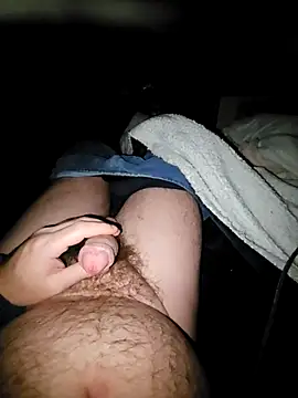 Snapshot of thefox92 chatting on 02.04.25 thefox92 online show from 02.04.25