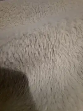 GeilerSchweizer online show from 04.24.26