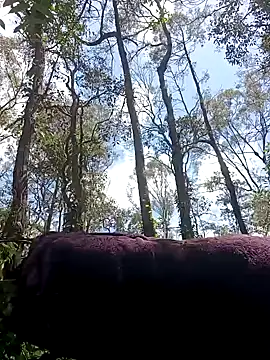 Snapshot of strollnrg069 chatting on 12.05.24 strollnrg069 online show from 12.05.24