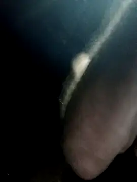 Snapshot of strollnrg069 chatting on 02.12.25 strollnrg069 online show from 02.12.25