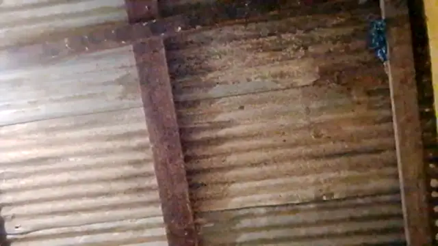 LULE37587001 online show from 02.20.26