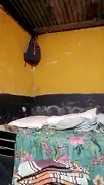 LULE37587001 online show from 03.02.26