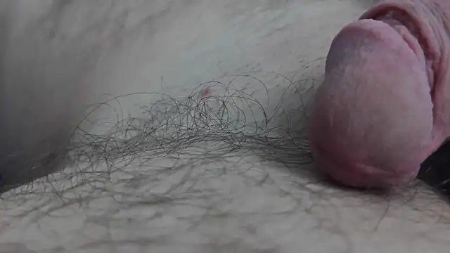 Fist-my-ass online show from 11.24.25