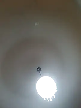 White rabbit  online show from 02.26.25