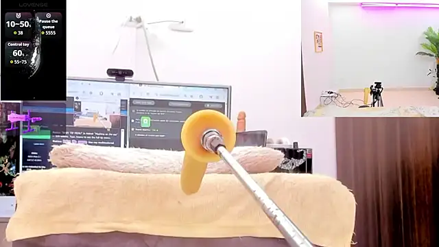 Paulina Davis  online show from 03.11.26