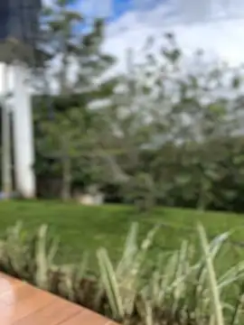 Snapshot of sahorix1 chatting on 02.16.26 sahorix1 online show from 02.16.26