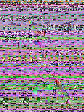 Snapshot of sahorix1 chatting on 02.20.26 sahorix1 online show from 02.20.26