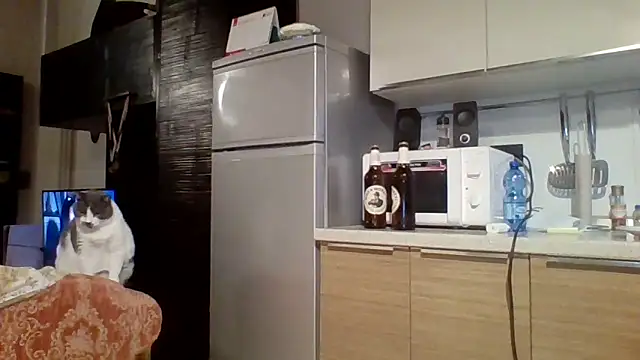 Snapshot of woww791 chatting on 10.07.25 woww791 online show from 10.07.25