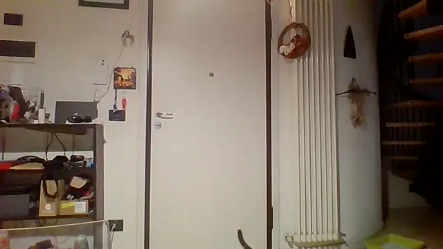 woww791 online show from 03.25.26