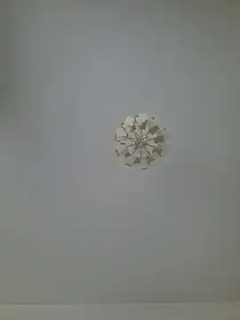 Snapshot of cuci45 chatting on 02.20.26 cuci45 online show from 02.20.26